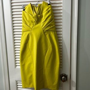 NWT coast dress. Never worn. Great color